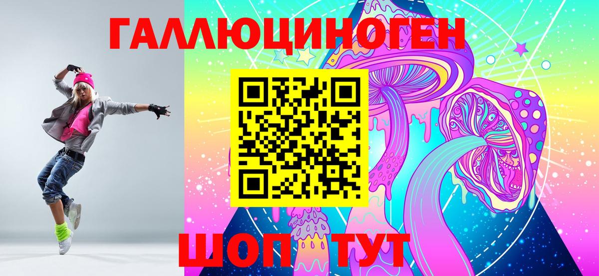 Гагарин  Псилоцибиновые грибы Psilocybe  Вход с VPN 